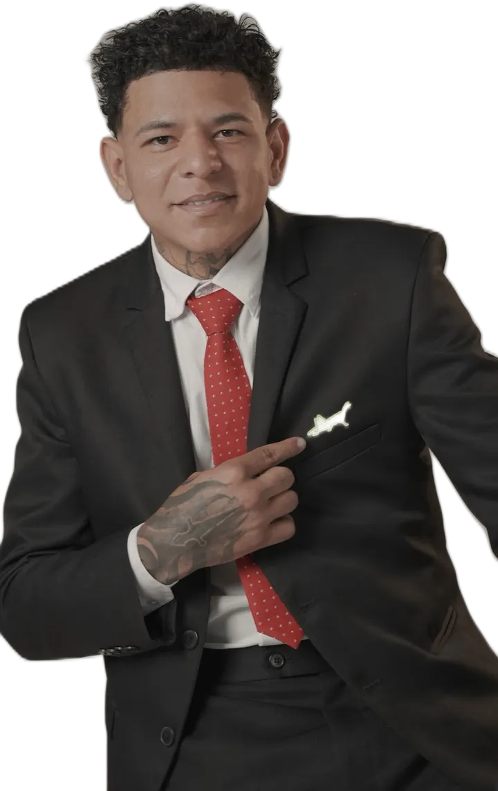El Saltamontes 69, luchador de Golpe Limpio 1.0