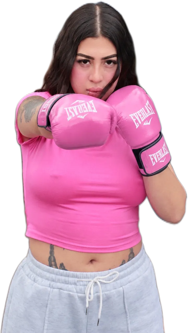 Chinchecam, luchador de Golpe Limpio 1.0